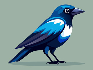 Geai oiseau Corvidés Corbeau Assis
