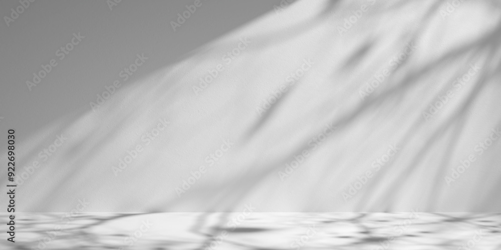 Poster white minimalist studio for product presentation. empty room with shadows of tree leaves. 3d room ba