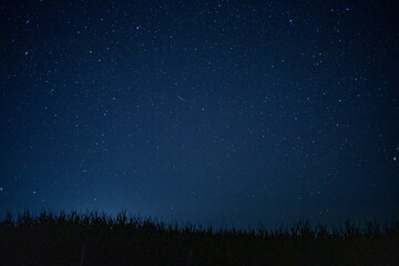 Fototapeta premium Night starry sky in summer