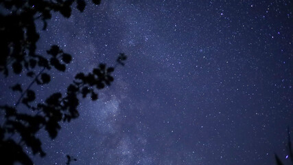 STARRY SKY WITH THE MILKY WAY