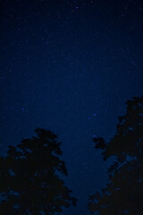 Naklejka premium Night starry sky in summer