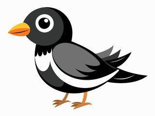 Dessin animé pie noir et blanc dans un style plat. Image pour livre éducatif pour enfants et encyclopédie ornithologique. Oiseau européen commun. Icône simple. Mignon oiseau coloré. Élément de concept