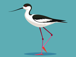 Échassier de l’avocet