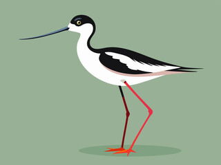 Échassier de l’avocet