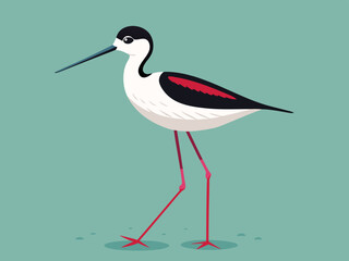 Échassier de l’avocet