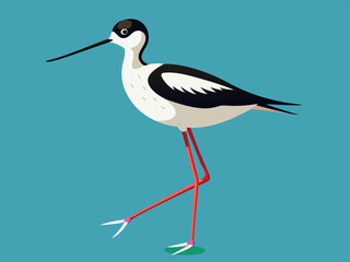 Échassier de l’avocet