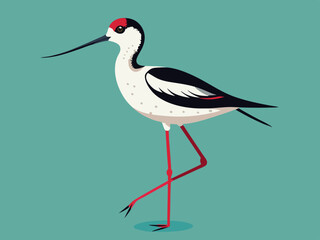 Échassier de l’avocet