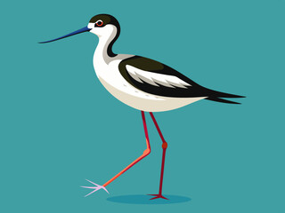 Obraz premium Avocet Shorebird Standing Gracefully on One Leg, Elegant Coastal Setting, Detailed Wildlife Photography.