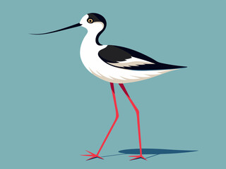 Échassier de l’avocet