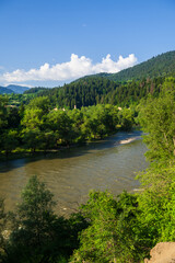 Fototapeta premium Beautiful landmark near the Borjomi with Kura river and mountain forest.