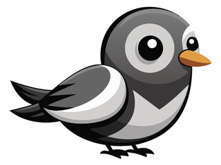 Blanc et gris couleur petit oiseau deuil colombe espèces assez mignon nature animal belle faune créature
