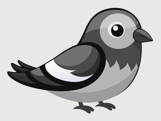 Blanc et gris couleur petit oiseau deuil colombe espèces assez mignon nature animal belle faune créature
