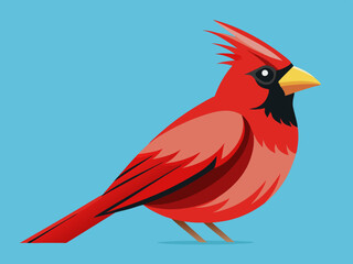 Oiseau Cardinal