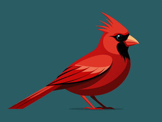 Oiseau Cardinal