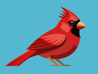Oiseau Cardinal