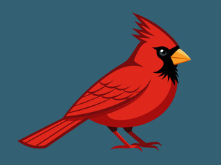 Oiseau Cardinal