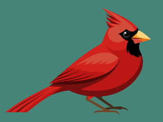 Oiseau Cardinal