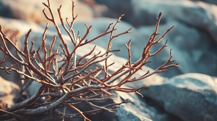 A close up of a plant that is growing on rocks, AI