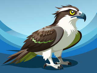 Balbuzard pêcheur