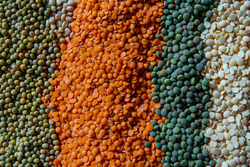 Lentils, Beans, and Peas in a Colorful Display
