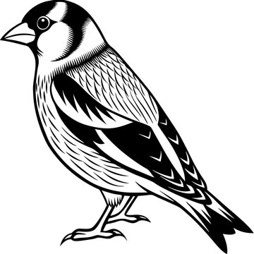 recommend clip art: Clipart of Goldfinch Bird Silhouette Wildlife Vector Icon 