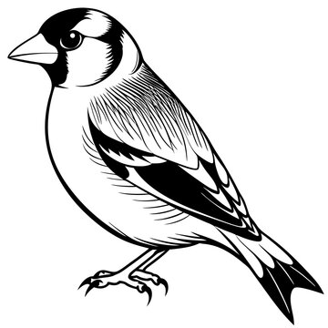 recommend clip art: Goldfinch Bird Silhouette Wildlife Vector Icon 