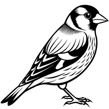 recommend clip art: Goldfinch Bird Silhouette Wildlife Vector logo Icon Clipart