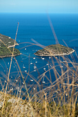 A serene coastal scene with multiple small islands surrounded by the deep blue sea. Numerous sailboats and yachts are scattered across the water, creating a picturesque view. In the foreground, tall d