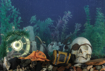 aquarium design with pirate decorations