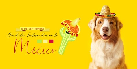 Funny dog in sombrero hat on yellow background. Banner for Mexico's Independence Day