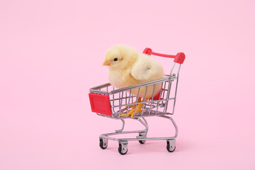 Shopping cart with cute little chick on pink background