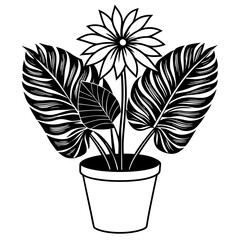 plant in a pot vector illustration