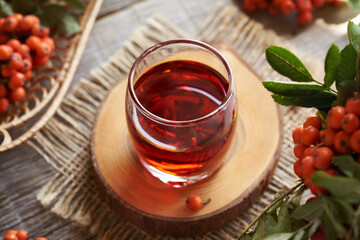 A glass of herbal syrup made of fresh wild rowanberry