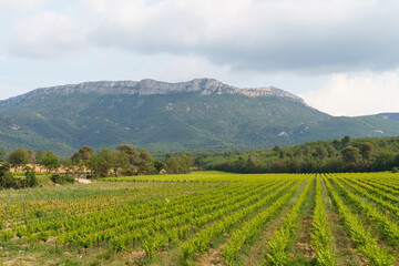 Serene Summer Landscape With a Majestic Mountain Range in the Distance