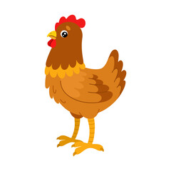 Chicken in cartoon flat style. Cute hen. Colored farm bird. Vector colorful baby illustration isolated on white background.