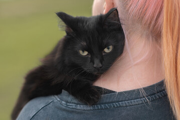 black cat sits on owner shoulder in park in summer