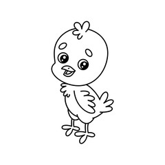 Outline small chick. Contour cartoon farm baby chicken. Cute black and white farm animal. Vector illustration isolated on white background. Perfect for kids coloring book.