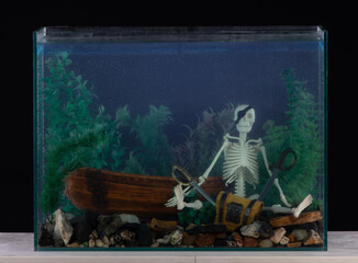 aquarium design with pirate decorations