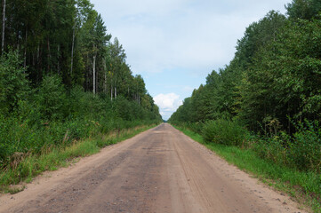 Long gravel road across the forest. Green trees around