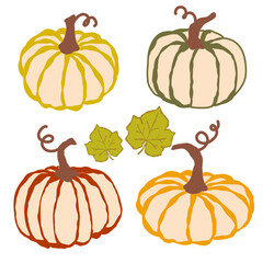 A delightful arrangement of colorful pumpkins with decorative leaves in fall