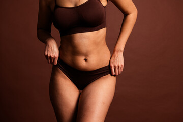 Cropped photo of overweight lady underwear lingerie accepting imperfect skin isolated brown color...