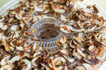 Drying apples in the fruit drying machine