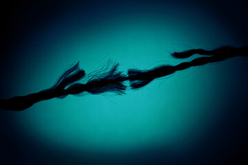 Silhouette of Breaking rope on Turquoise background.