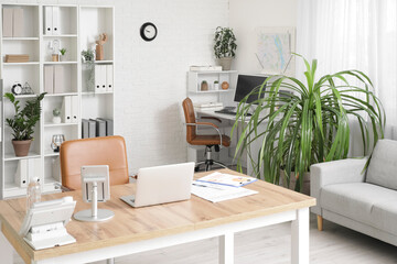 Interior of light office with workplace, armchair, shelving unit and houseplant