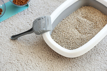 Cat litter box with scoop on carpet in living room, closeup