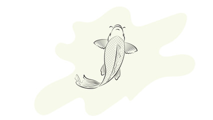 Japanese koi fish drawing illustration isolated in red circle bakground with blank space, drawing line