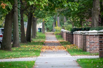 Peaceful tree-lined sidewalk in a residential neighborhood during autumn with fallen leaves