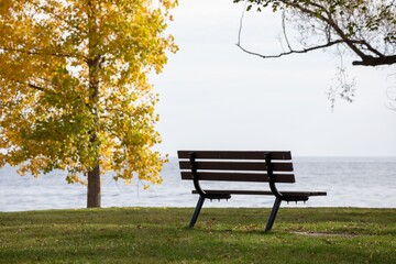 Empty park bench facing a calm lake with autumn trees in the background