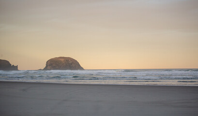 Allans beach, New Zealand