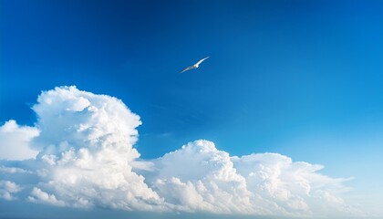 Clouds and bird in the sky